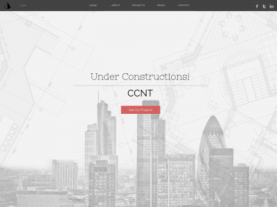 ccnt.biz snapshot