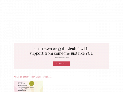 thesoberholic.com snapshot