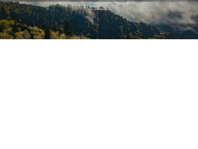 tranavideo.com snapshot