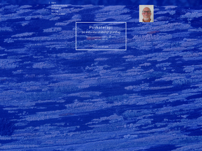allanelm.dk snapshot