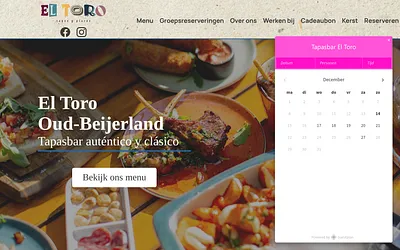 tapasbareltoro.nl snapshot