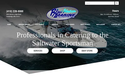 www.bluewatermarinespecialists.com snapshot
