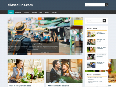 silascollins.com snapshot