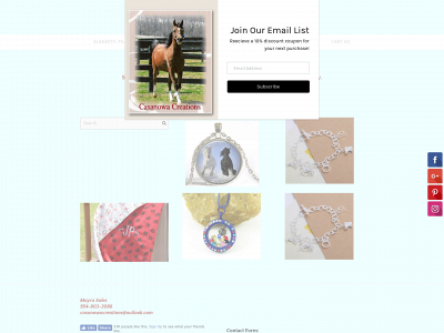 www.casanowacreations.com snapshot