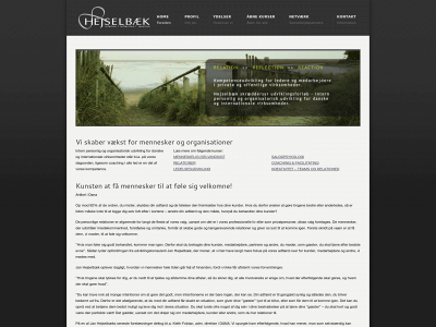 hejselbaek.as snapshot
