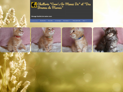 les-coons-ar-menez-du.fr snapshot
