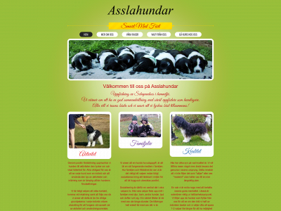 asslahundar.se snapshot
