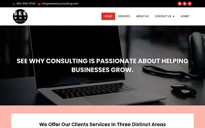 seewhyconsulting.com snapshot