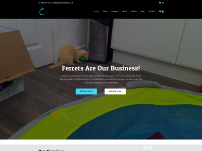 blueferretboarding.co.uk snapshot