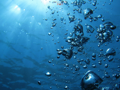 freedivepro.no snapshot
