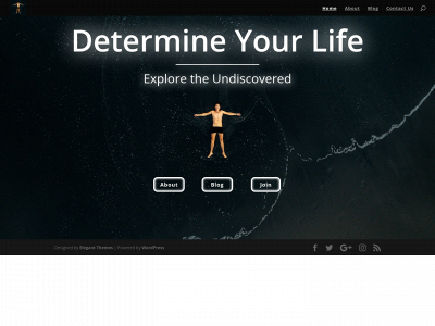 determineyourlife.com snapshot