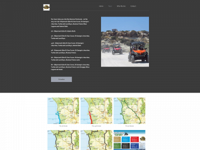 goldenriderentals.com snapshot
