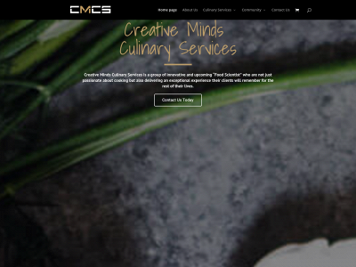 creativemindscs.com snapshot