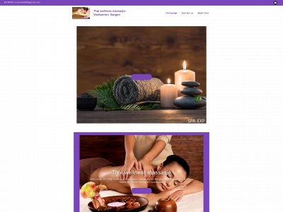 thaiwellness.online snapshot