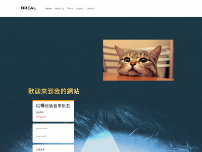 40601053.weebly.com snapshot