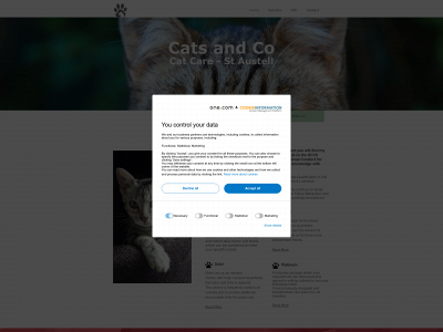 catsandco.uk snapshot