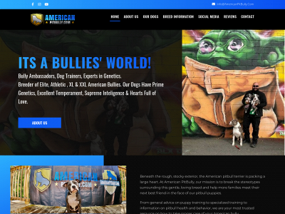 americanpitbully.com snapshot