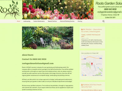 roots.solutions snapshot