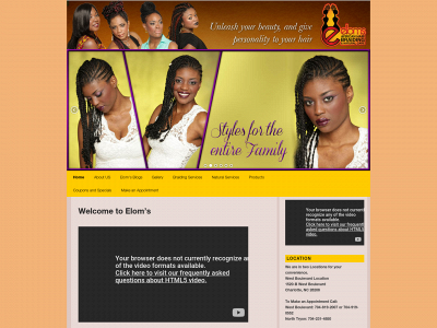 elomsbraiding.com snapshot