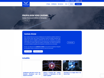 tortorellapartners.com snapshot