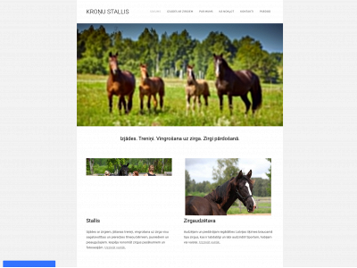 www.kroni.lv snapshot
