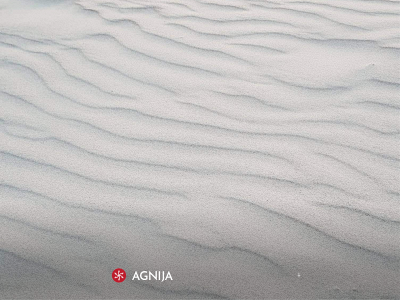 agnija.lt snapshot