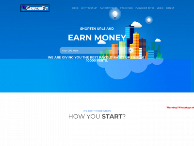 genuinefly.com snapshot