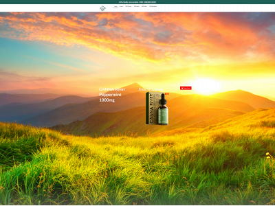peakzenwellness.com snapshot