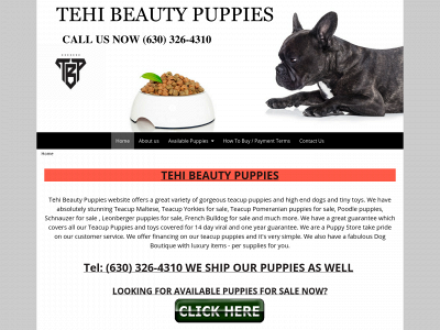 www.tehibeautypuppies.com snapshot
