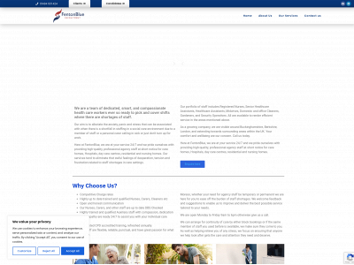 fentonblue.co.uk snapshot