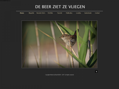 debeerzietzevliegen.nl snapshot