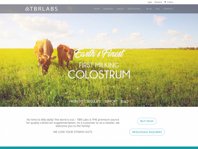 tbrlabs.com snapshot