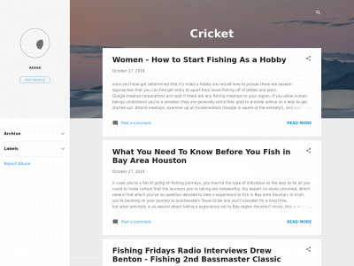 cricnews.site snapshot