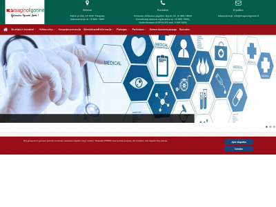 visaginoligonine.lt snapshot