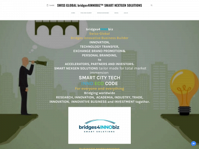 www.bridges4innobiz.com snapshot