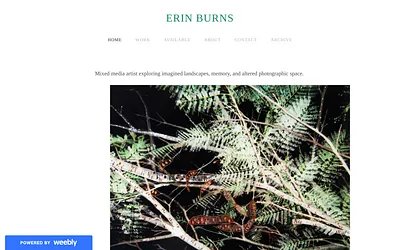 www.erinburns.com snapshot