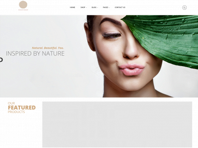 noodmood.com.au snapshot