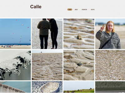 team-callesen.dk snapshot