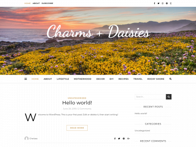 charmsanddaisies.com snapshot