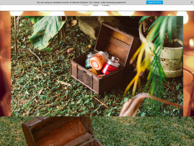 jayleneshandmadeinteriors.com snapshot