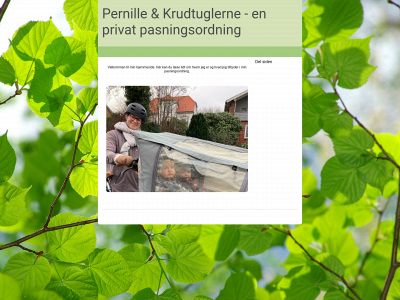 pernilleprivatepasningsordning.dk snapshot