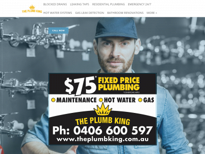 www.theplumbking.com.au snapshot