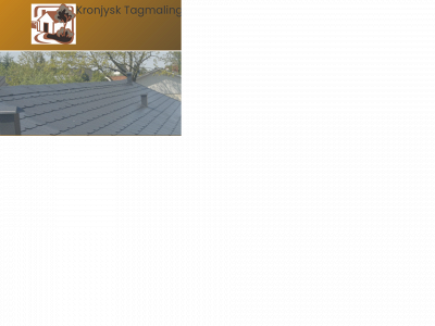 kronjysk-tagmaling.dk snapshot