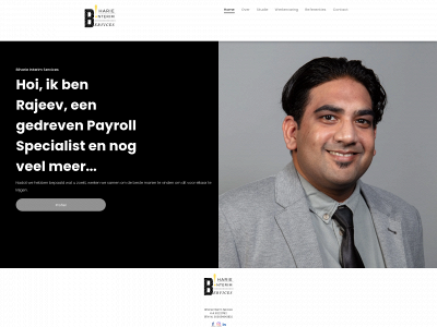 binterimservices.nl snapshot