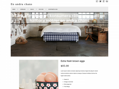enandrachans.com snapshot