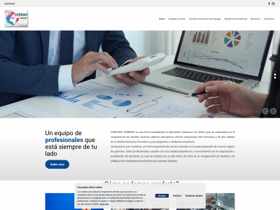 asesoriasobrino.es snapshot
