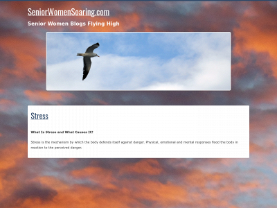 seniorwomensoaring.com snapshot