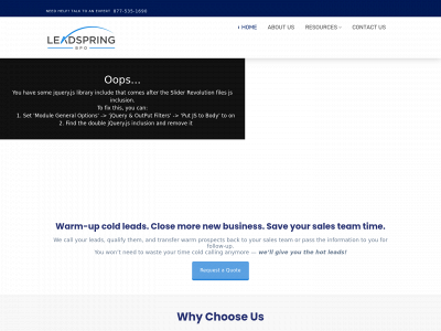 leadspringbpo.com snapshot