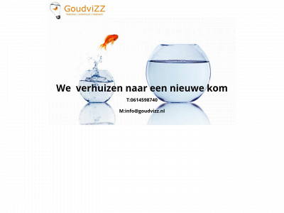 goudvizz.nl snapshot