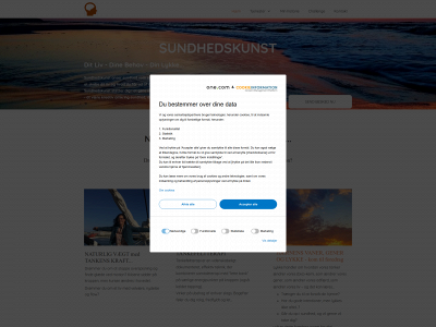 sundhedskunst.dk snapshot